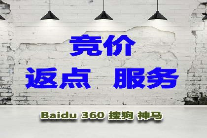 行业领先企业如何通过SEM运营提升ROI